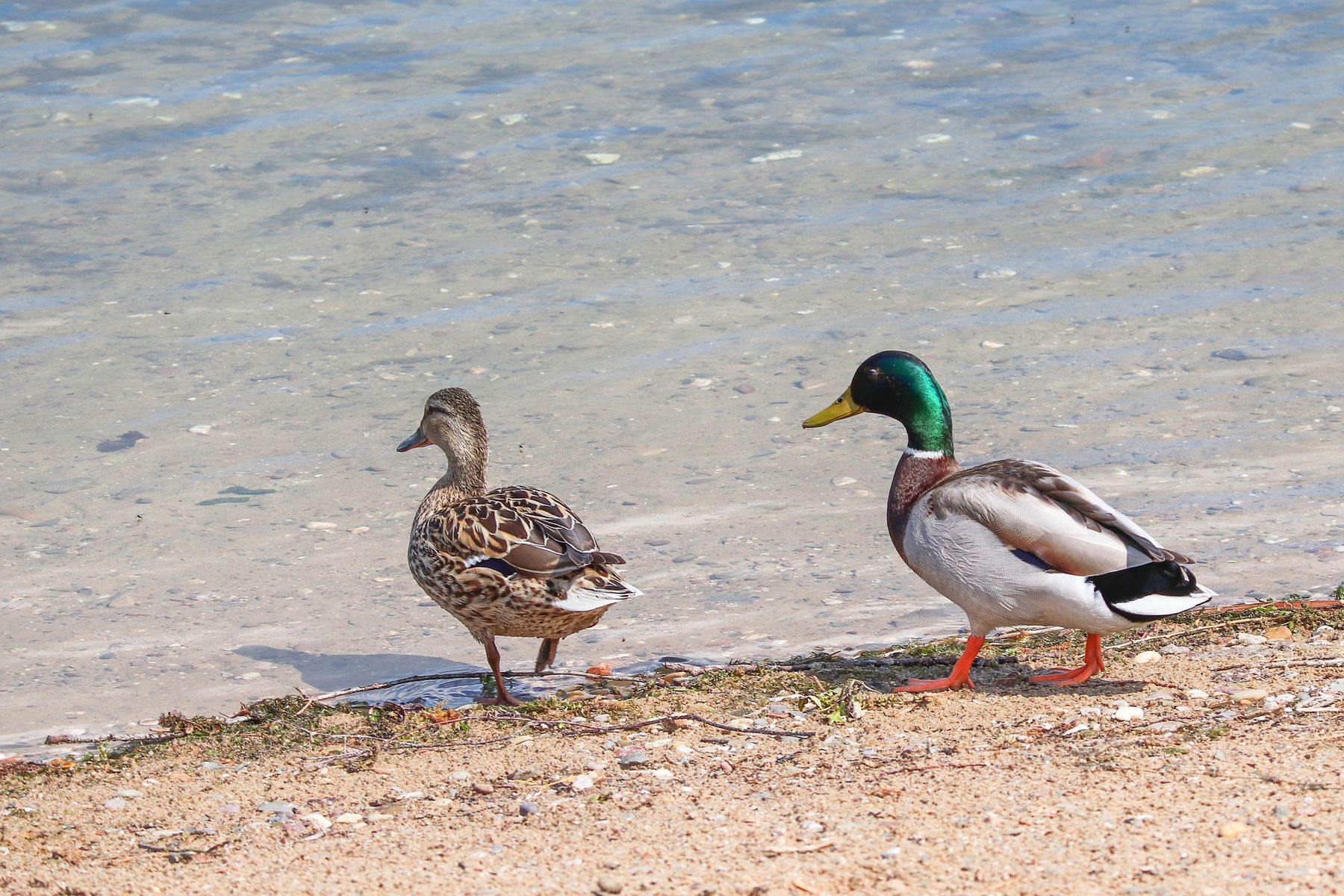 Gesundheitsamt des Landkreises Mecklenburgische Seenplatte