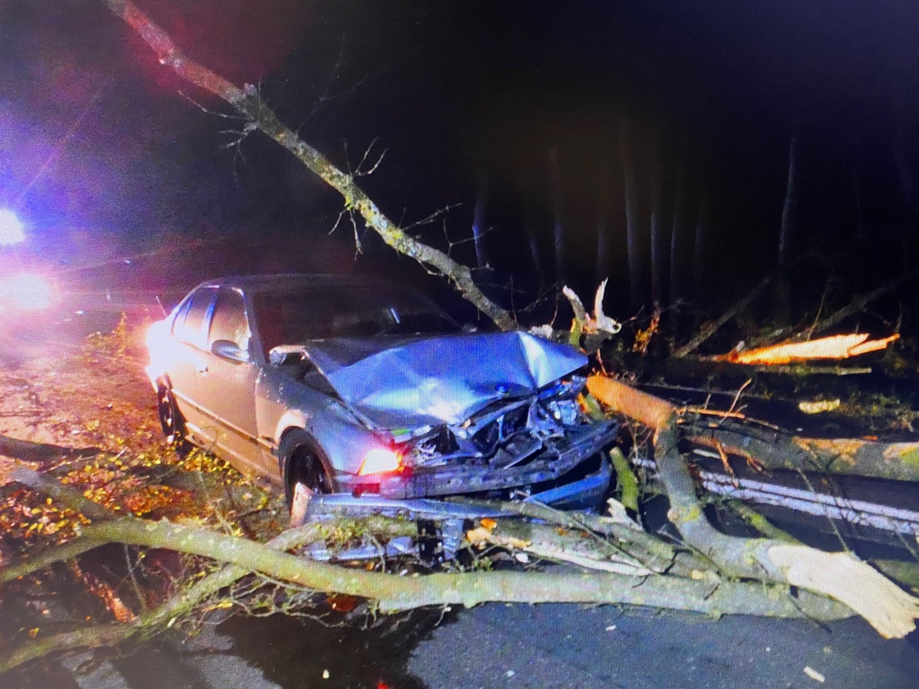 B198: Baum stürzt auf ein BMW