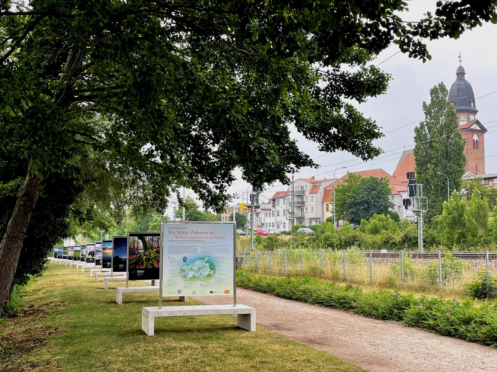 „Mecklenburg-Vorpommern: Wo Natur Zuhause ist“