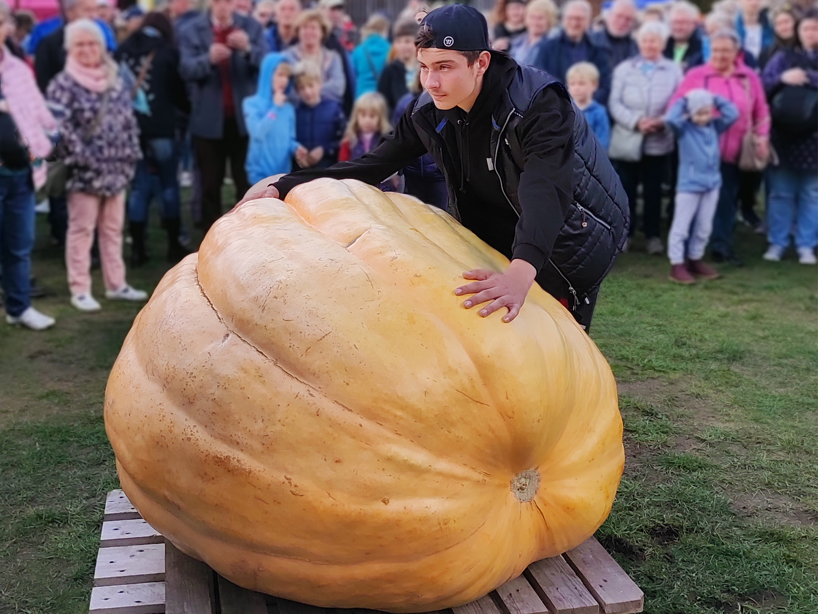 Kürbisfest Agroneum Alt Schwerin