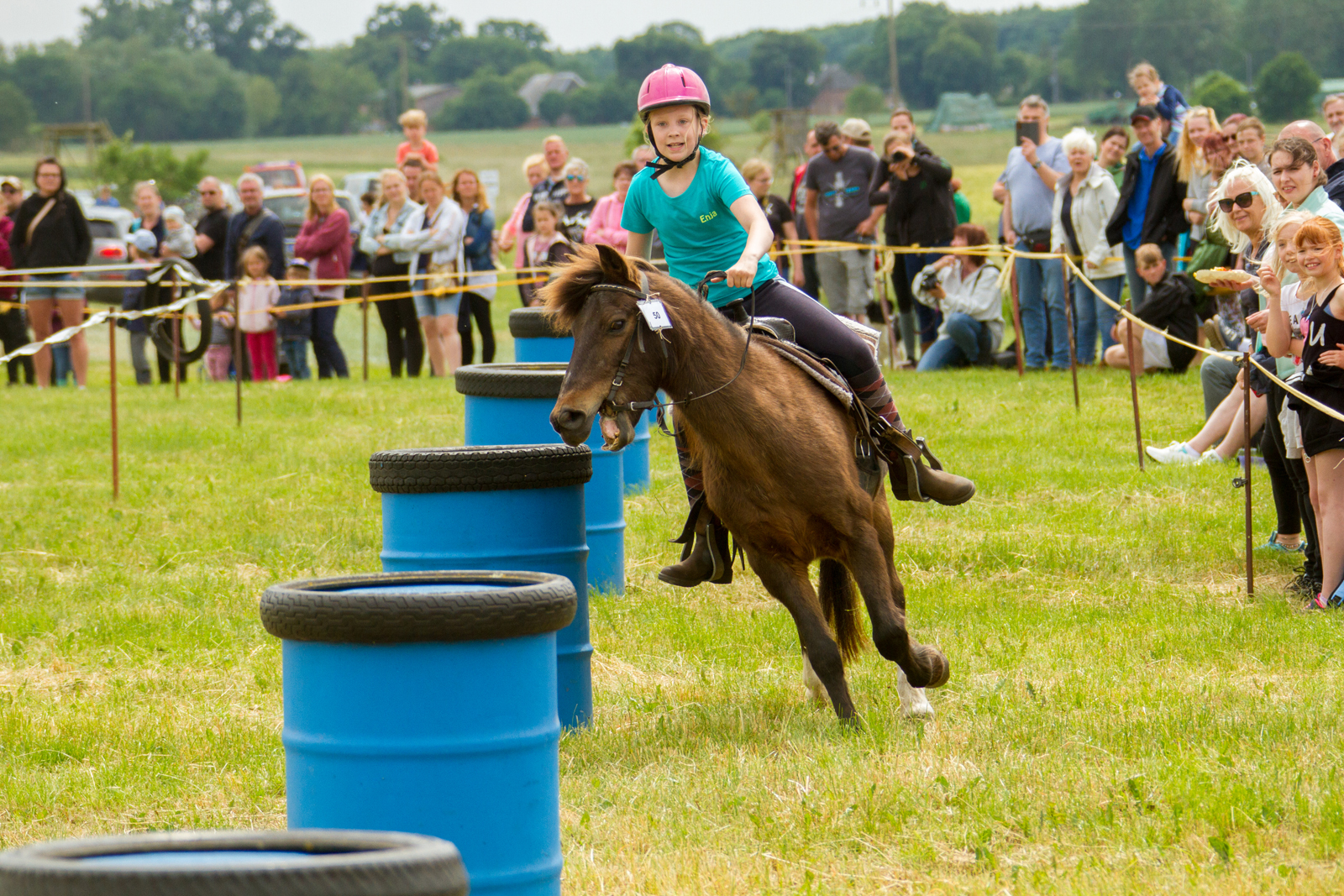 Veranstaltung Ponysportverein Röbel/Müritz