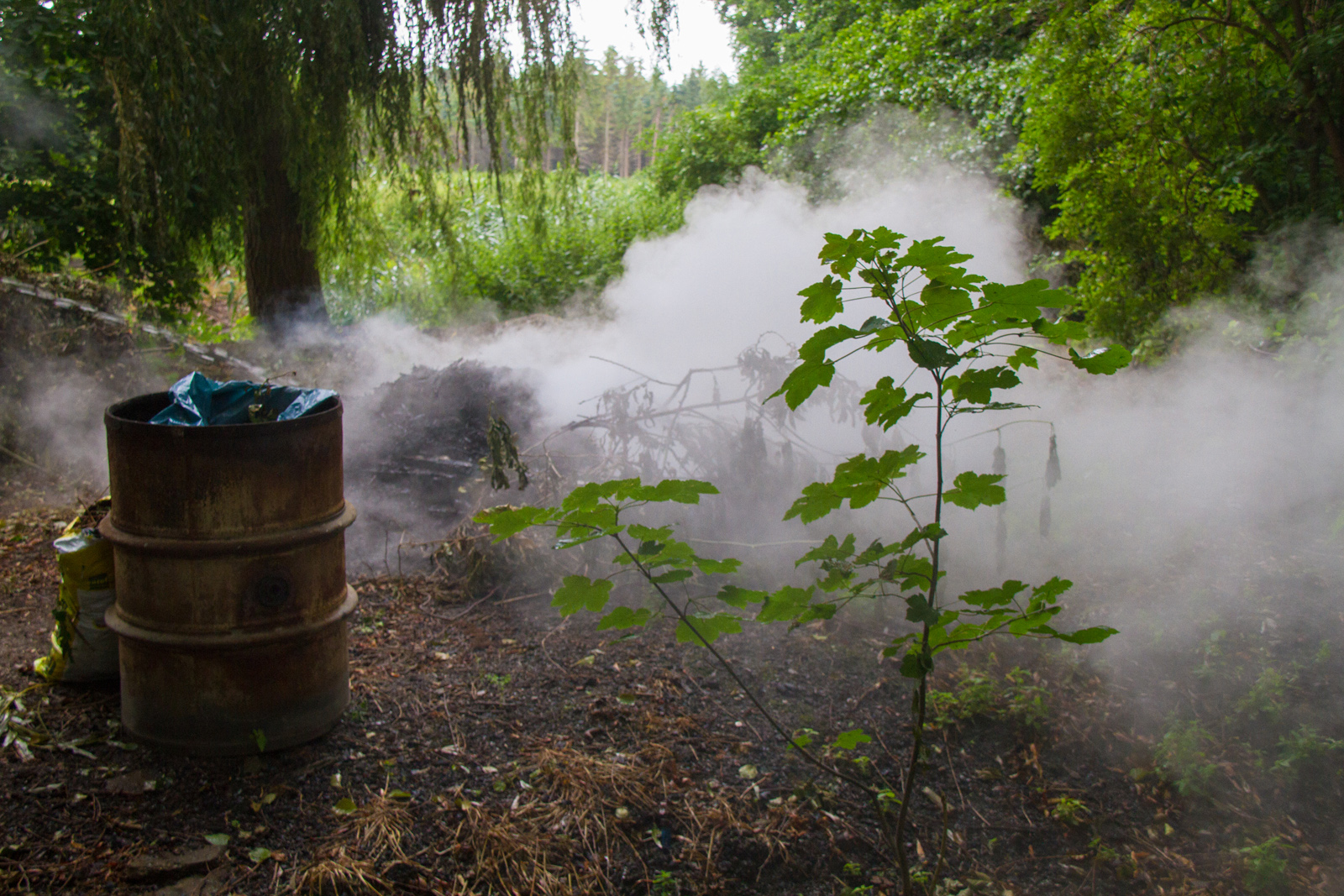 Unrat brennt im Waldstück