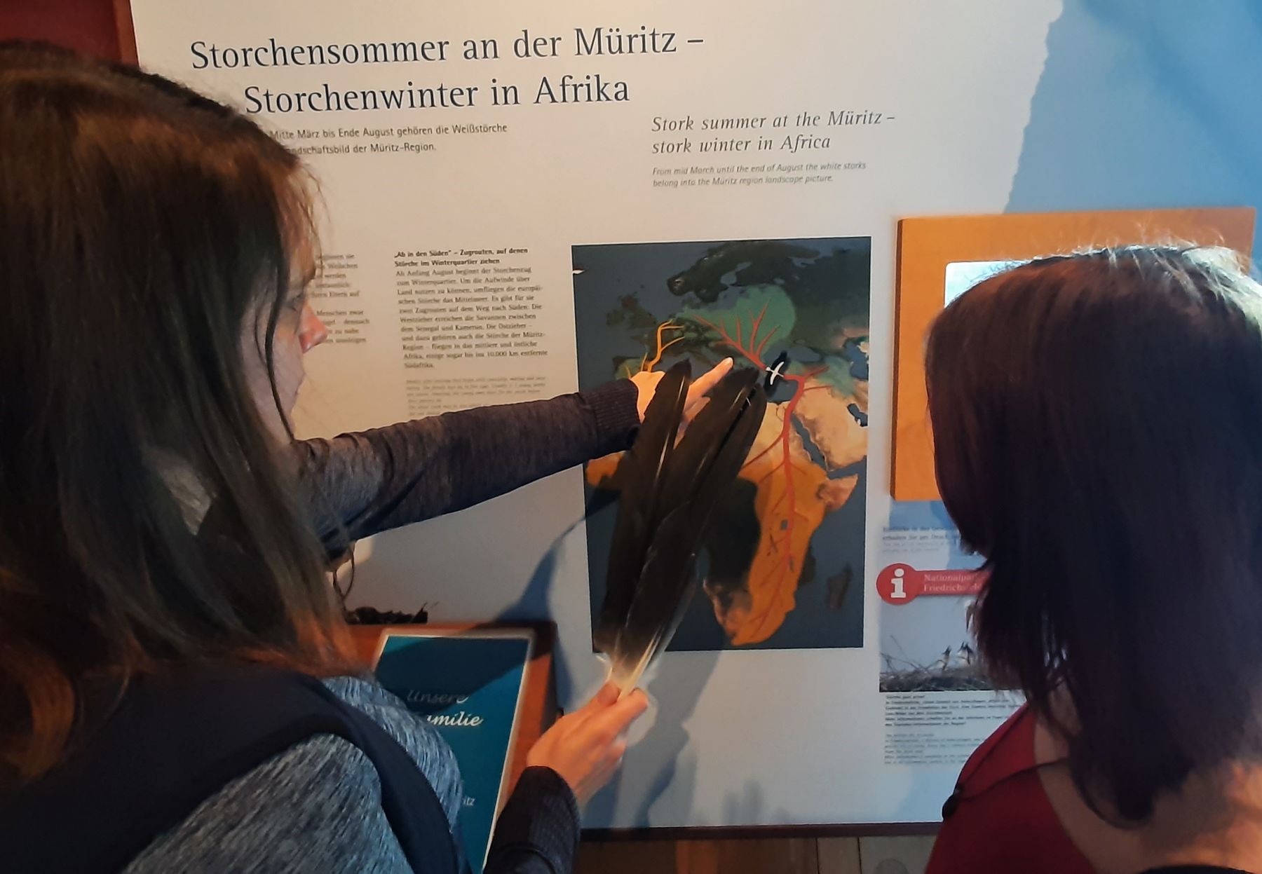 Sonderführung Zugvögel Waren (Müritz)