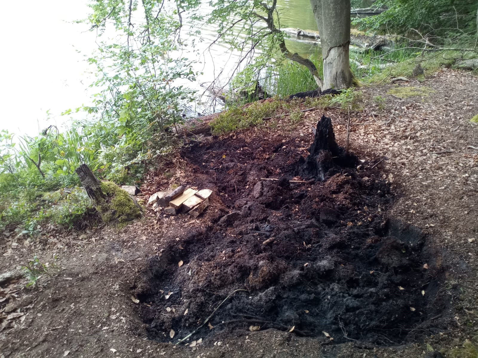 Feuer Müritz-Nationalpark