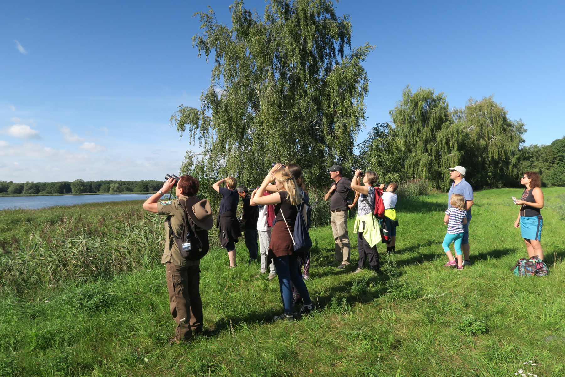 Führungen Nationalpark-Informationen und Ausstellungen Müritz-Nationalpark