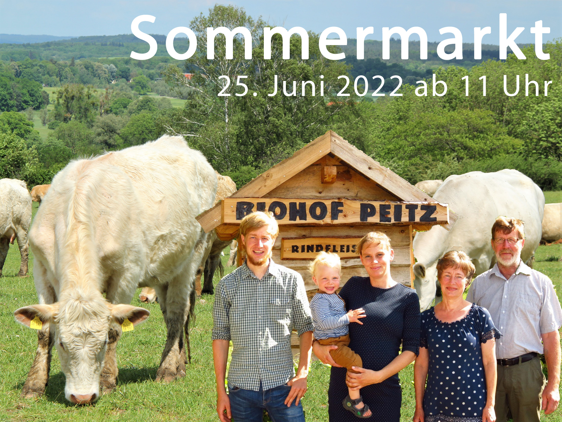 Biorindfleisch kaufen Mecklenburg-Vorpommern