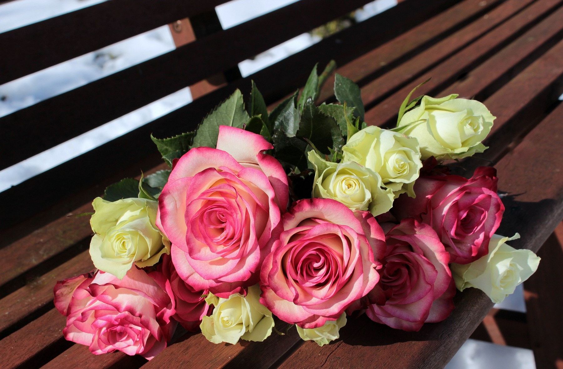 Blumen kaufen