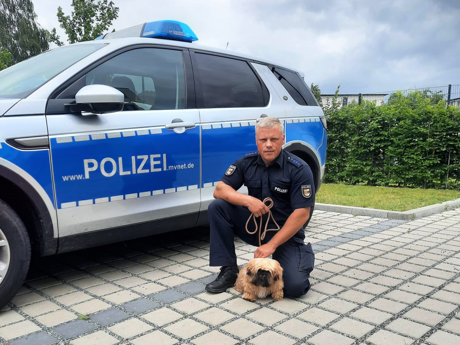 Greifswalder Polizist findet gestohlenen Hund wieder