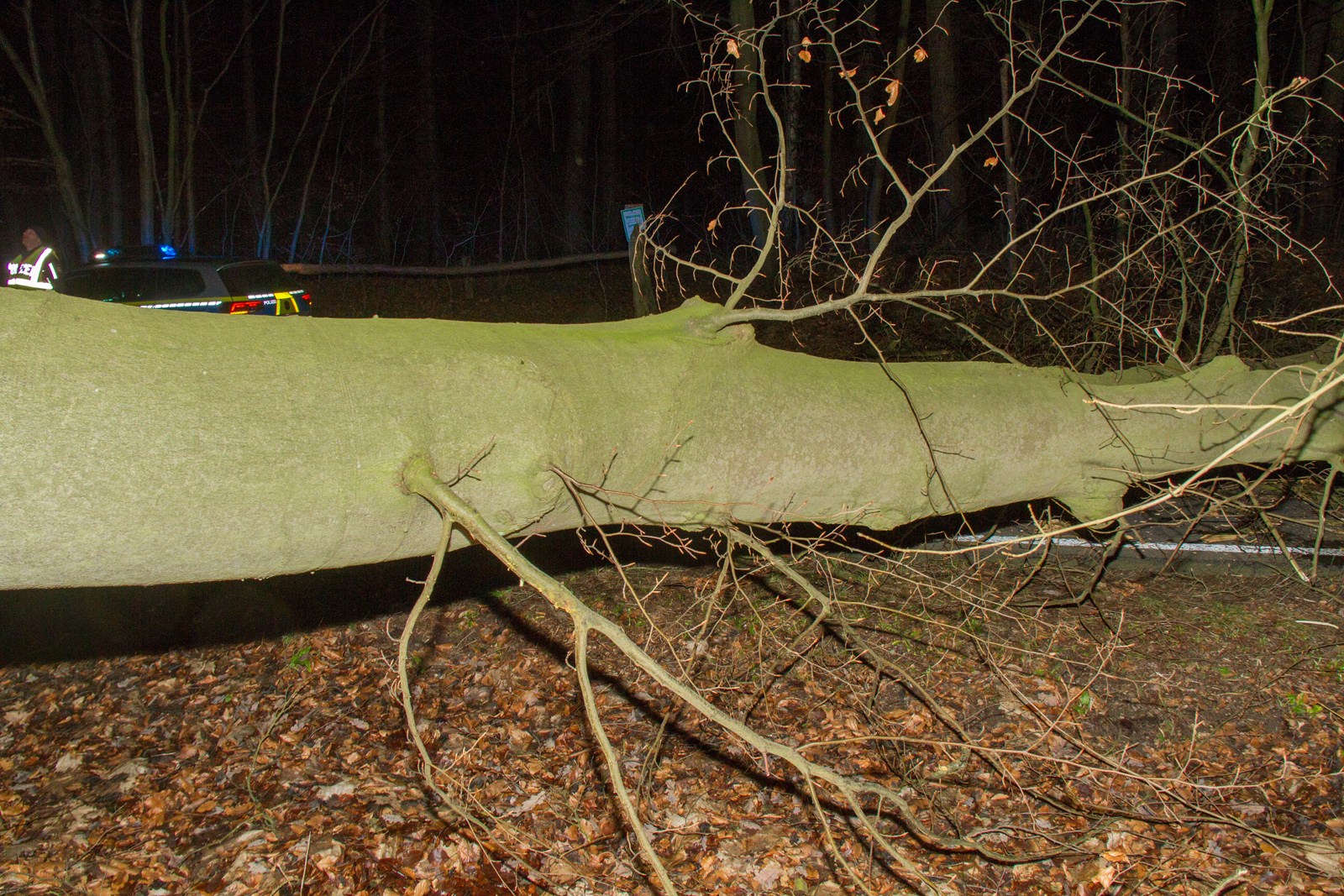 Einsatz Feuerwehr Kargow