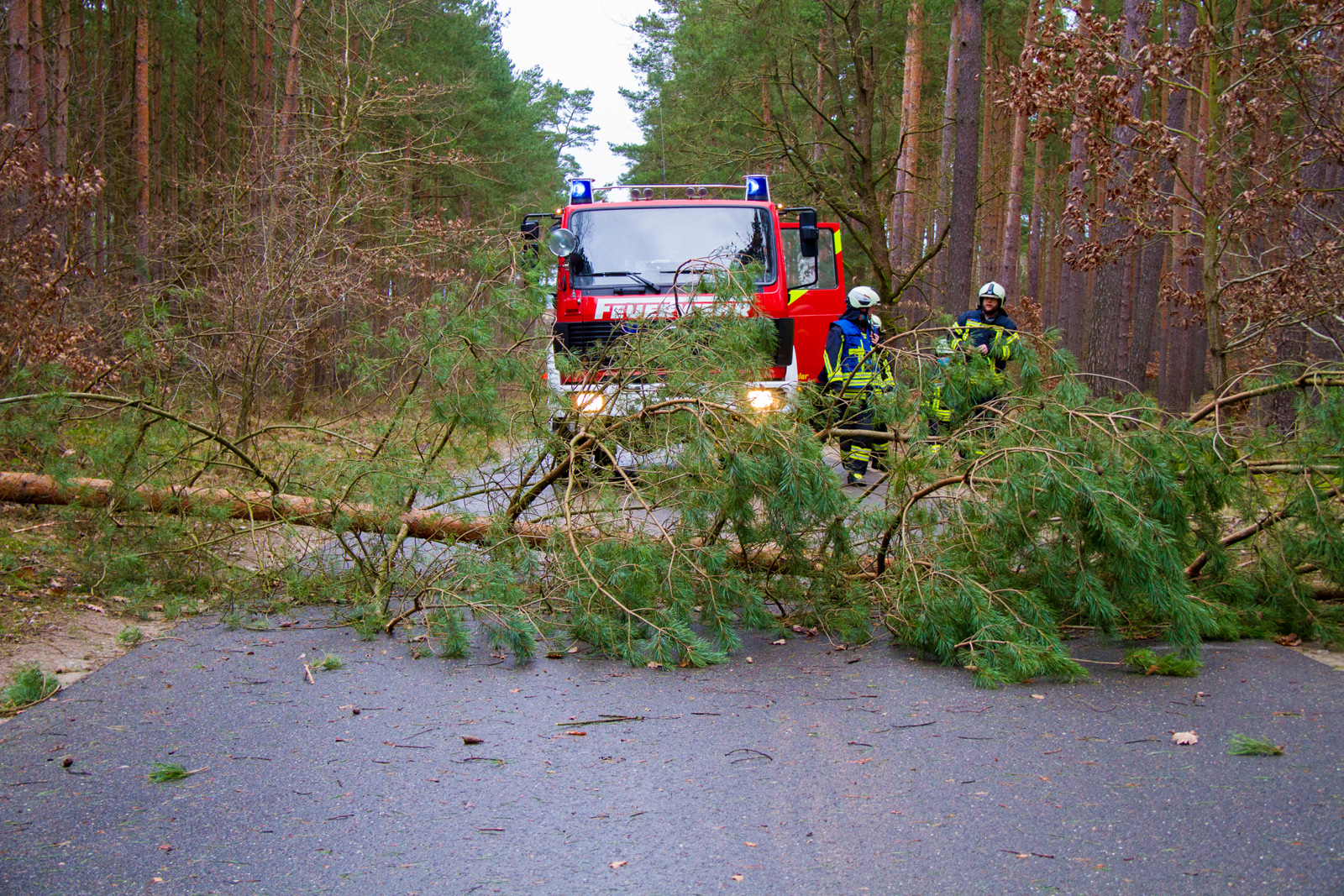 Feuerwehreinsätze Sturm Mecklenburgische Seenplatte
