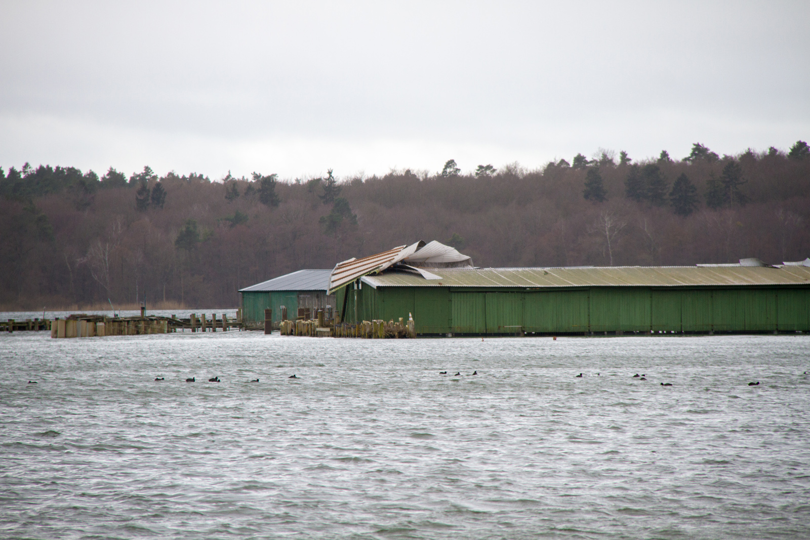 Sturmschäden Bootsschuppen Waren (Müritz)