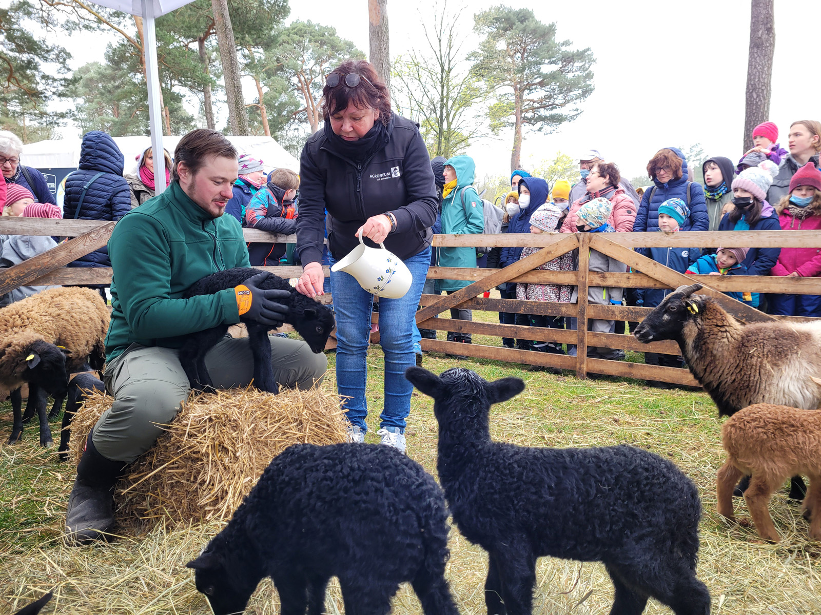 Ostern Veranstaltung Alt Schwerin