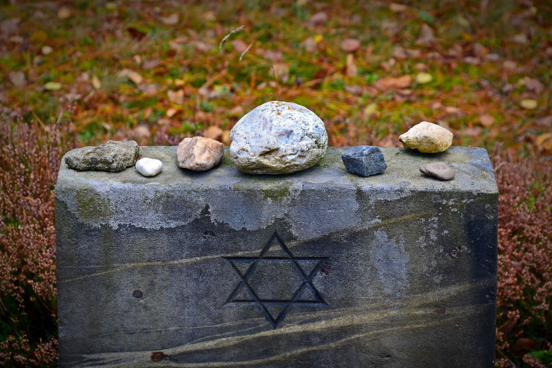 Reisen nach Israel
