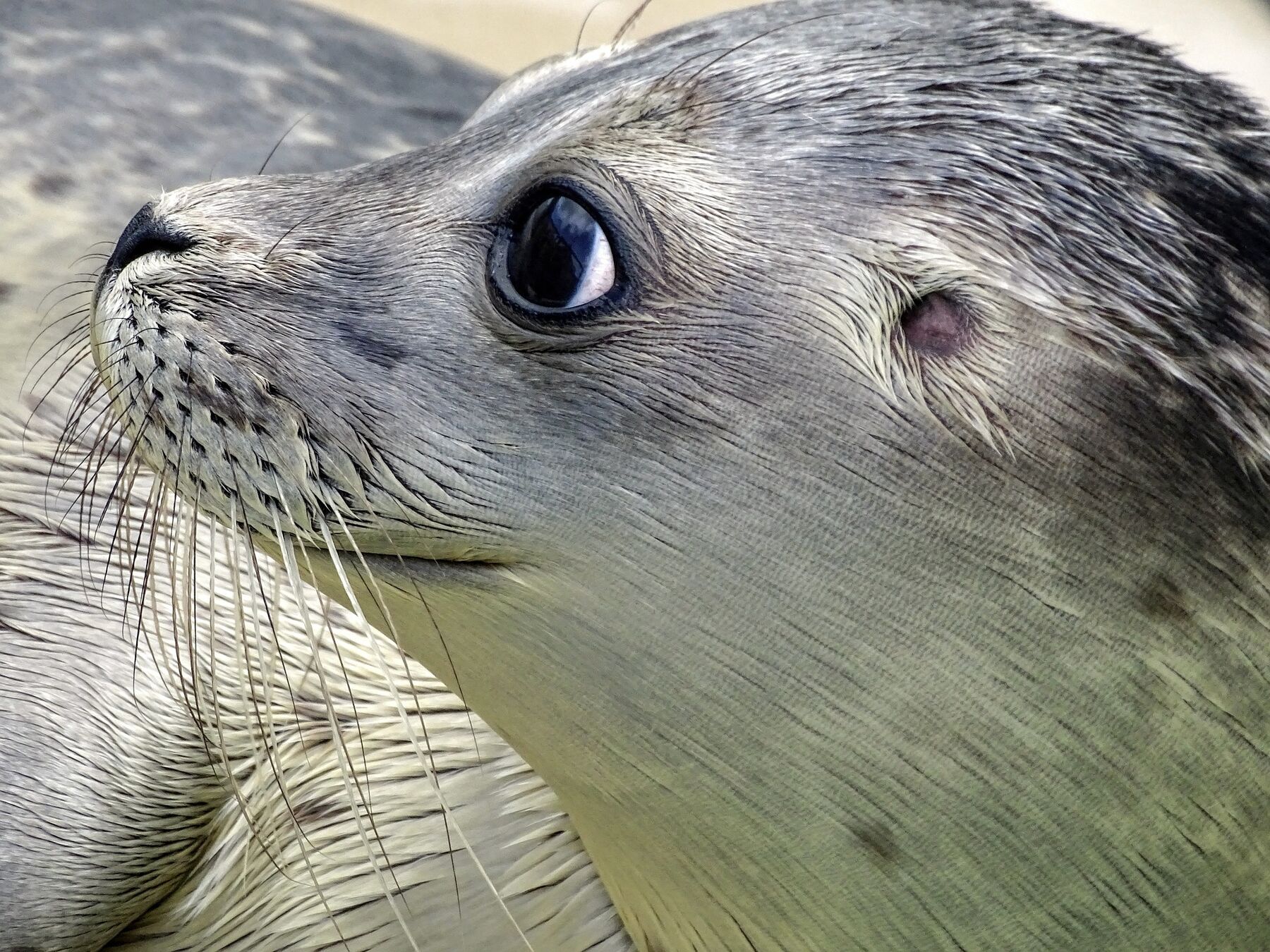 Freizeittipp Rostocker Zoo
