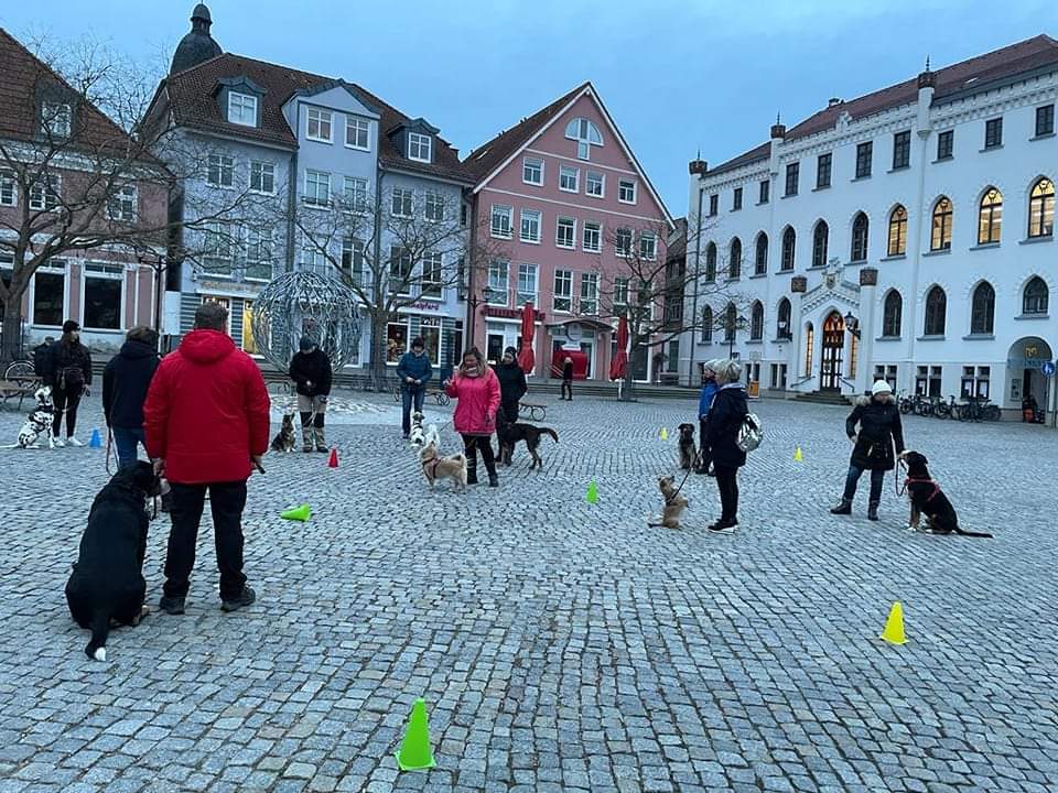 Hundeverein Kiebitzberg Waren (Müritz)