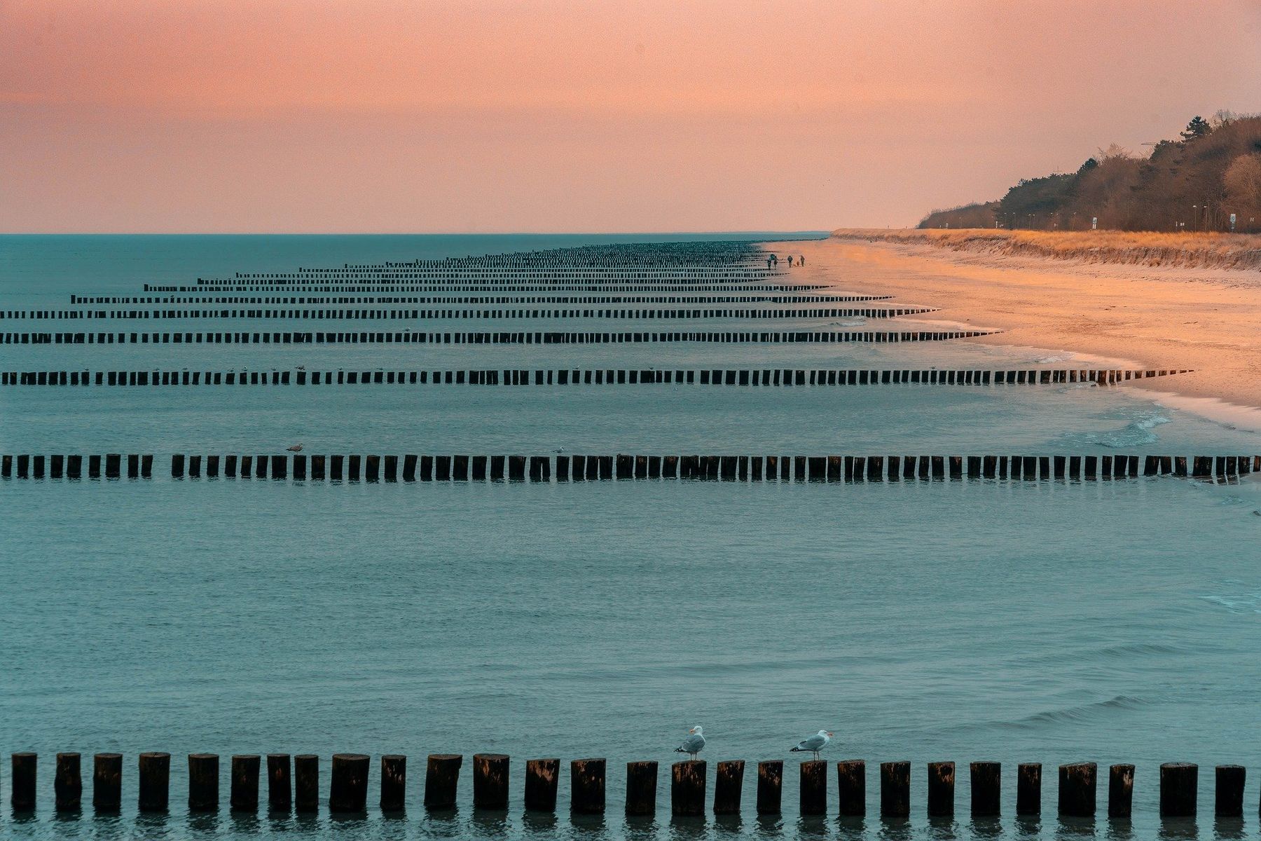 Ostsee Prerow