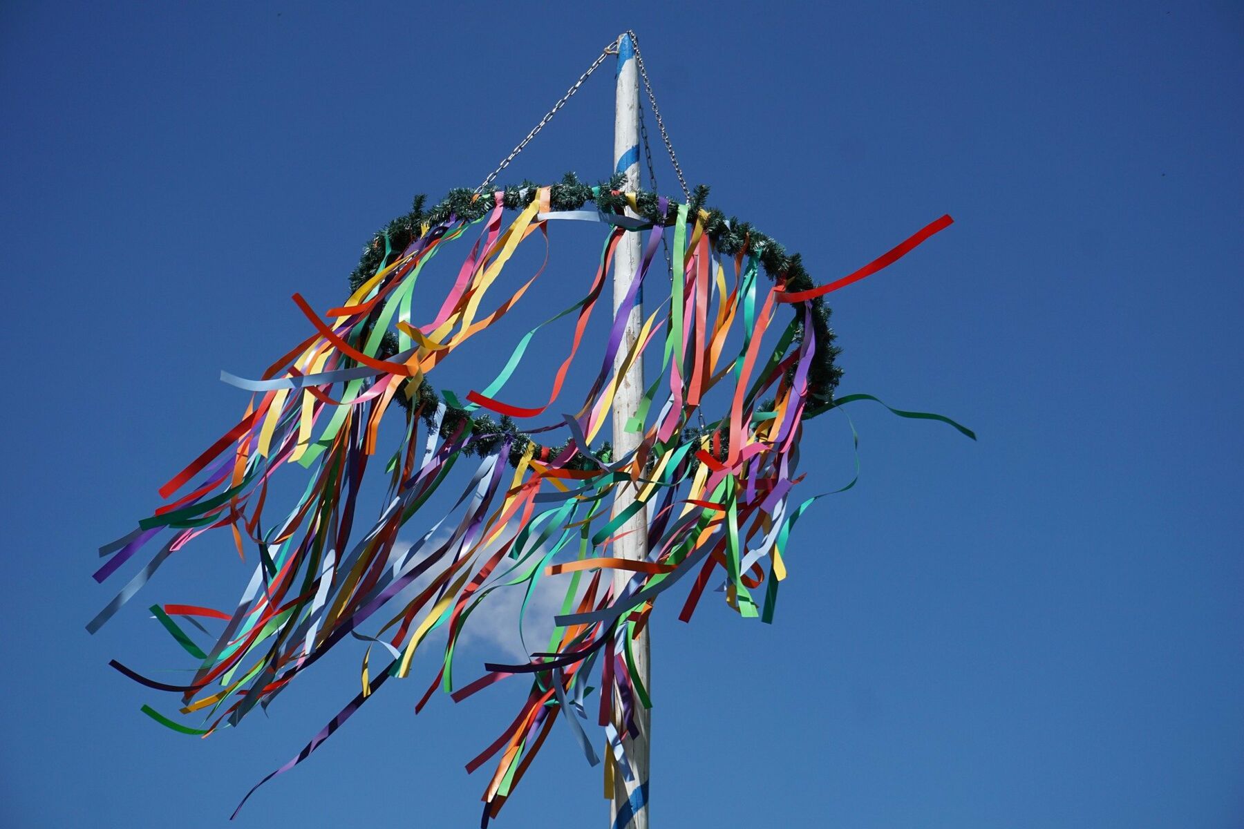 Maibaum Rechlin
