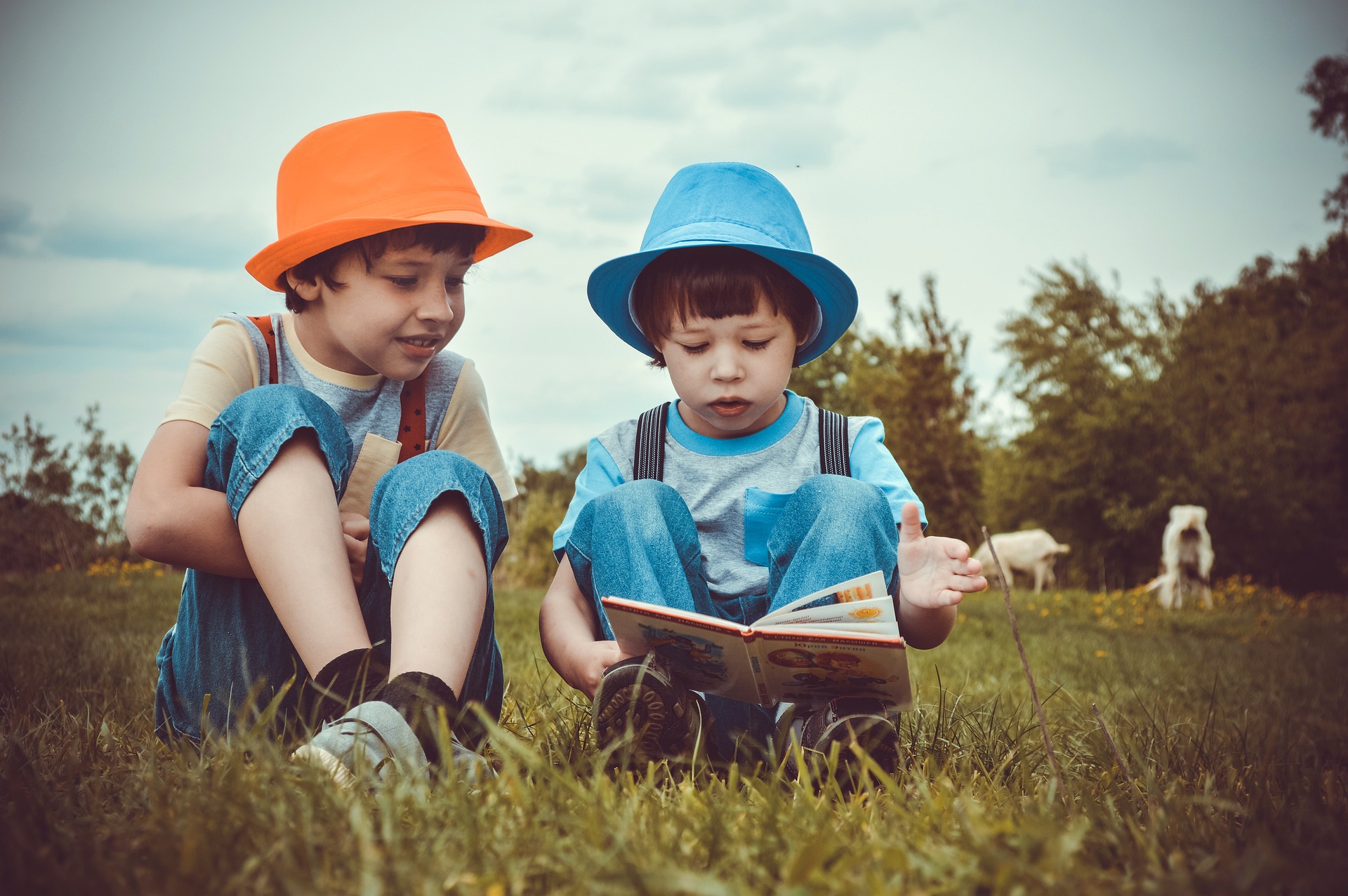 Grundschulkinder Lesekompetenzen Mecklenburg-Vorpommern
