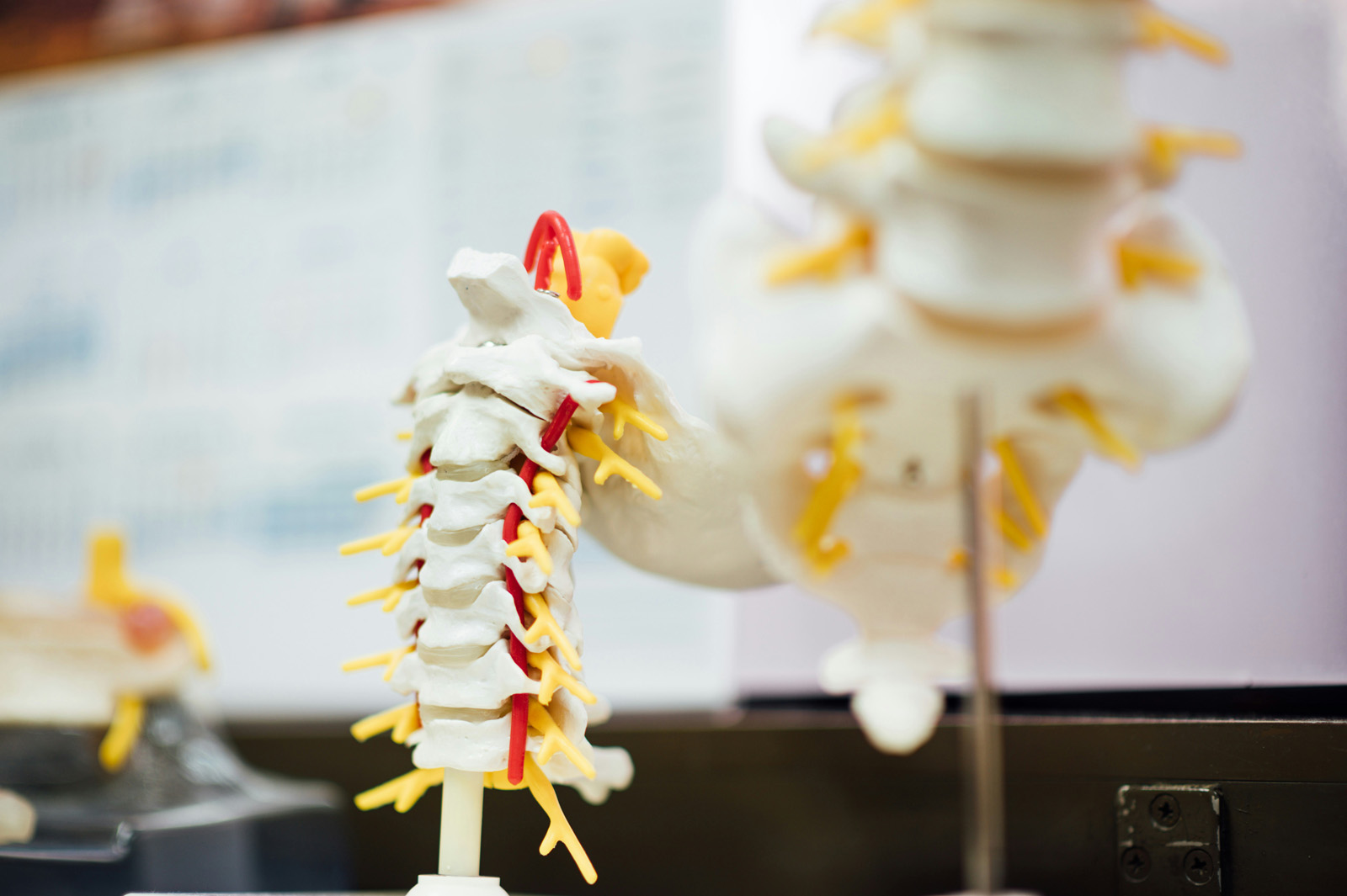 Chiropraktik ist eine alternative Heilmethode