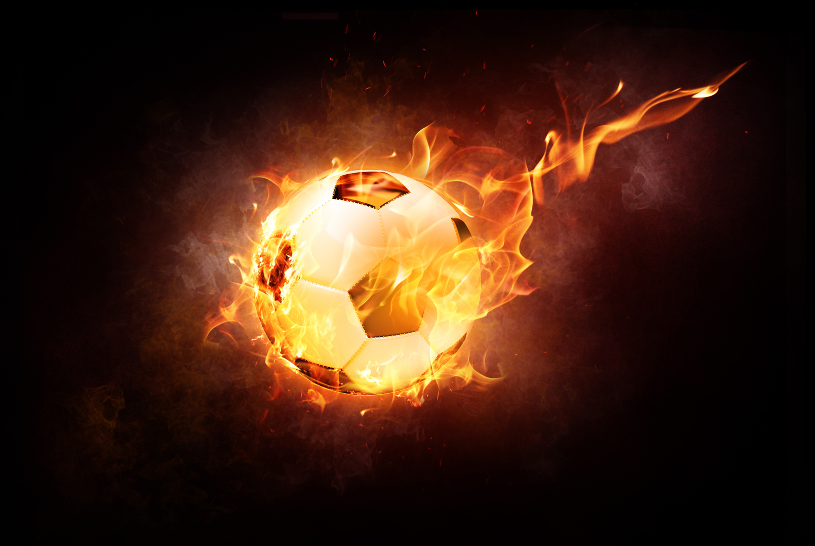 Vorstandsvorsitzende des F.C. Hansa Rostock Robert Marien